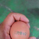 송영농장 이미지