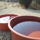 용곡약수터 이미지