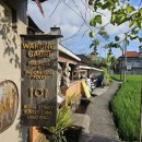 가우리 GAURI 이미지