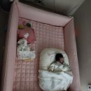 사나비비엔다 | 비비엔다 특대형 범퍼침대 - 백일아기 바닥침대 / 범퍼침대 저상침대 침대매트 내돈내산리뷰 솔직후기