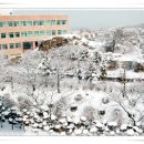 인하대부속고등학교 이미지