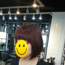 트레보헤어 이미지