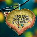 인생길 쉬이 가는사람 누구인가요? 이미지
