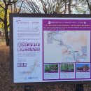 김삿갓면-44 이미지