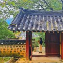 통복고가로 | 영월 가볼만한곳 영월 1박2일 뉴트로드 여행