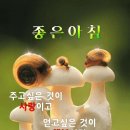 11월12일(금요일)간추린뉴스 이미지