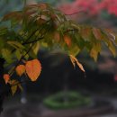 소향공원 이미지