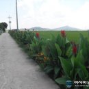 아산마을진입로 이미지