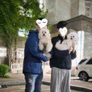 랑 네이버블로그