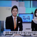 골든클린 이미지