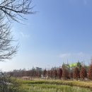 부산식품 장림공장 | [부산] 사하구 혼자 뚜벅이여행 기록(장림포구, 다대포해수욕장, 다대드라카페, 류센소라멘)