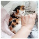 삼순농장 | [삼순]태풍 오는 날 만난 아이