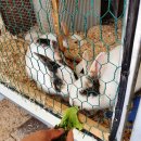 동막리공중화장실 이미지