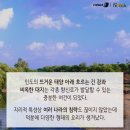 커리스토리 이미지
