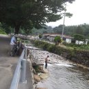 동강마을 이미지