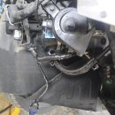 매일 카센타 이미지