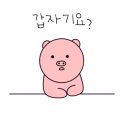 형아짬뽕