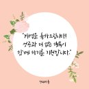 메가엠지씨커피답십리