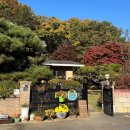 백옥대로 1898번길 | (‘24) 경기 용인 1박2일: 회사 워크샵, 이렇게나 재밌어도 되는 것인가! (에버랜드 인근, 에버라스트...