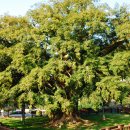 한동초등학교 이미지