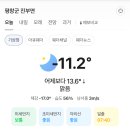 평창송어 | 2026.01.11 평창송어축제 후기