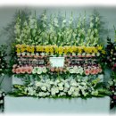 신내동-017 이미지