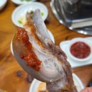 염소야놀자 이미지