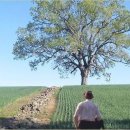 산들바람 이미지