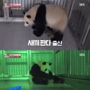 유일농장2 이미지