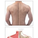 죽림한의원 이미지