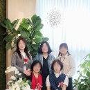 곡란초등학교 | 군포 어버이날 행사 후기, 따뜻함이 가득했던 클라운지 경기군포1호점