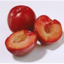 청담한의원 이미지