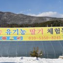 조안 농장 이미지