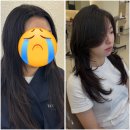 대성미용실 - 경주시 비화원로 41 | 성신여대 레이어드펌 잘하는 미용실 추천 “위아르보” (대성부원장님후기)