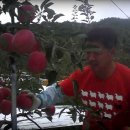 병규농장 이미지