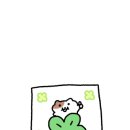 미스터샤크 수원 주짓수 킥복싱 멀티짐 이미지