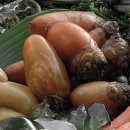 웰빙수산물 이미지