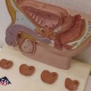 양산 수 사우나 이미지