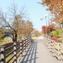 태전공원 이미지