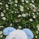 집과생각 | 제주 여행 가볼만한 곳 추천 :: 구좌읍 종달리 맛집 카페 소품샵 산책코스까지