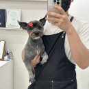 코코바코 이미지