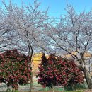 마산합포구 ⓘ-6 이미지