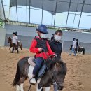 세계승마클럽 이미지