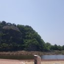 금호강강변공원 이미지