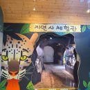 목재문화자연사체험관 이미지