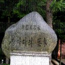 방아나라 이미지