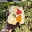 완산-130 | 전주 빵지순례 &#39;히포파운드&#39; 메뉴추천 및 웨이팅 솔직후기 내돈내산