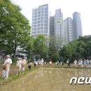 법인마들