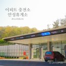㈜정지뜰충전소 | 안성휴게소 이피트 전기충전하기 (feat. 맥반석 오징어 맛집이네!)