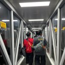 서인천농협 건지지점 앞 횡단보도 | 251216~251217 나트랑 가족여행(이라 쓰고 국뽕여행이라 읽는다)